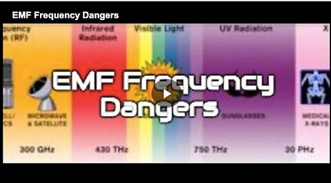 "Understanding the Dangers of EMF Frequency"