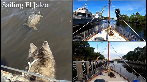 S05E27 - Neptune Discovers Turtles as We Travel thru Norfolk to Hampton, VA