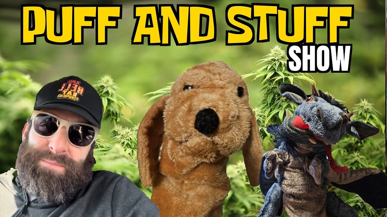 Puff and Stuff Show | Rovers Revenge | Episode 5 Season 3