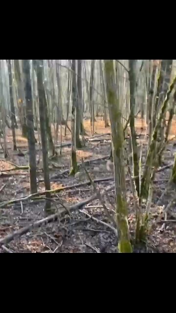 Mass Exodus Of Ukrainian Forces In Sudzha Back To The Ukraine Border😂😂