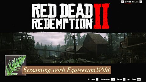 Equisetum Returns to Red Dead Part 16 - Shady Belle (+ RDO)