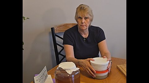 Non Dairy L Reuteri Yogurt - L-Reuteri with nut milks. My experiments and conclusion