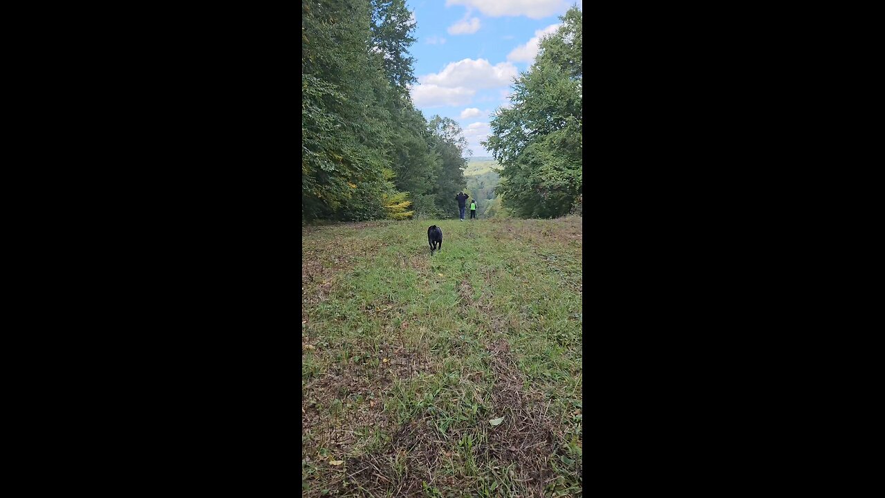 The adventure continues...