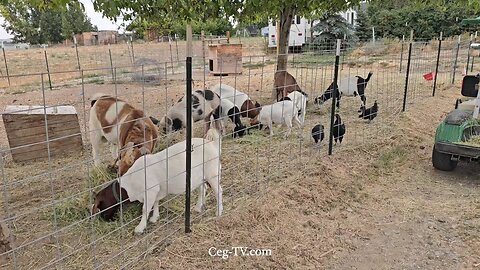 Graham Family Farm NW: 9:00 AM September 14 2025