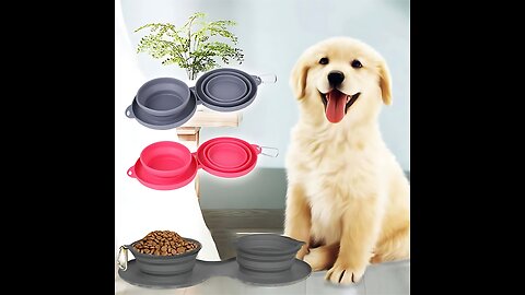 Portable & Foldable Double Pet Bowl: The Ultimate Travel Companion for Food & Water