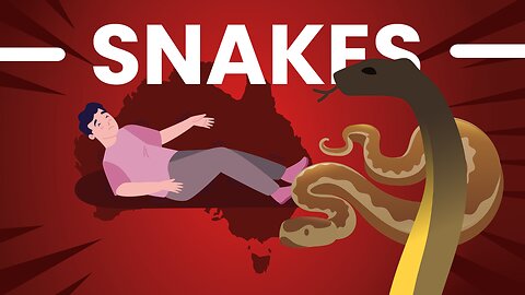 SNAKES ! Is Australia Really That Dangerous?