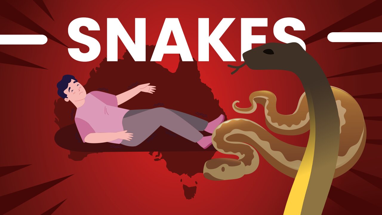 SNAKES ! Is Australia Really That Dangerous?