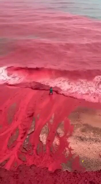 Today’s rain on Hormuz Island in southern Iran caused the seawater along the shore to turn red