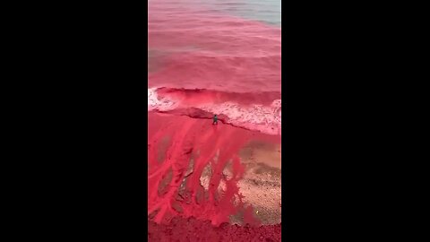 Today’s rain on Hormuz Island in southern Iran caused the seawater along the shore to turn red