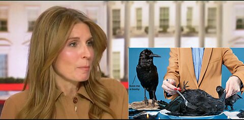 MSNBC's Nicolle Wallace - Time to Eat Crow