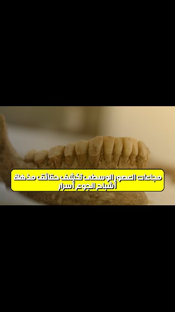 أشباح الجوع: أسرار مجاعات العصور الوسطى تكشف حقائق مذهلة #تاريخ #مجاعة #العصورالوسطى