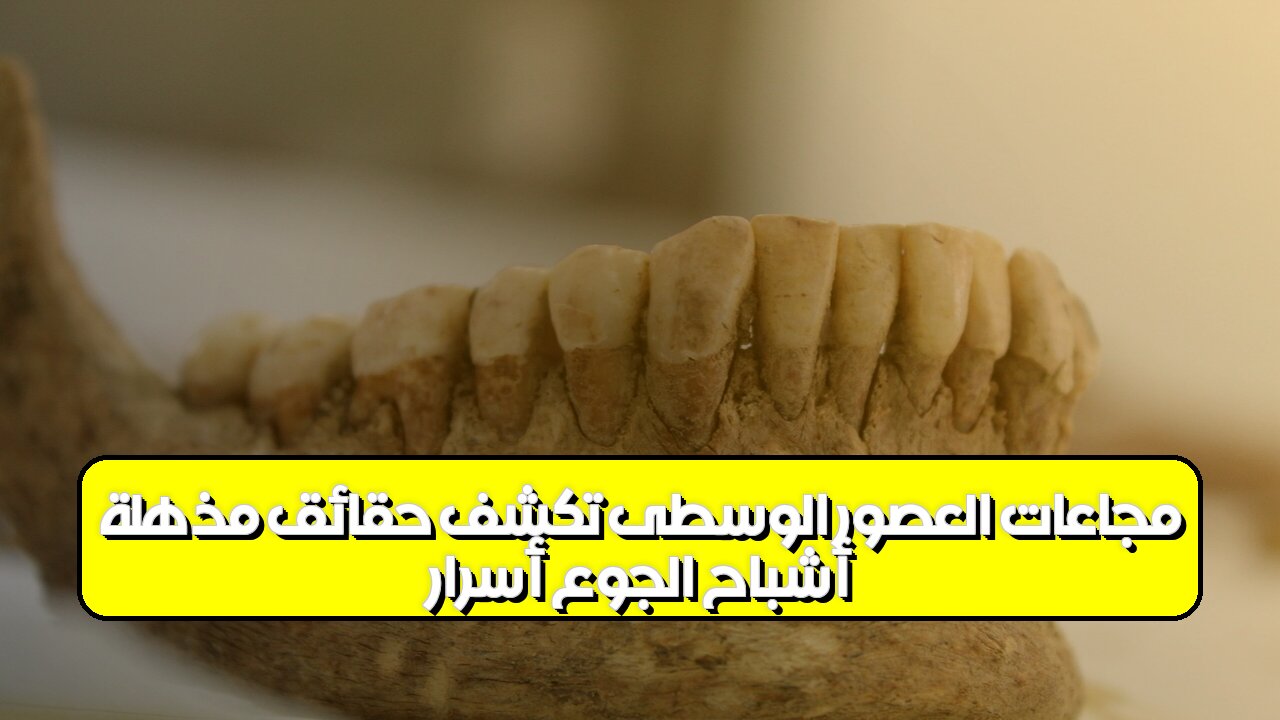 أشباح الجوع: أسرار مجاعات العصور الوسطى تكشف حقائق مذهلة #تاريخ #مجاعة #العصورالوسطى