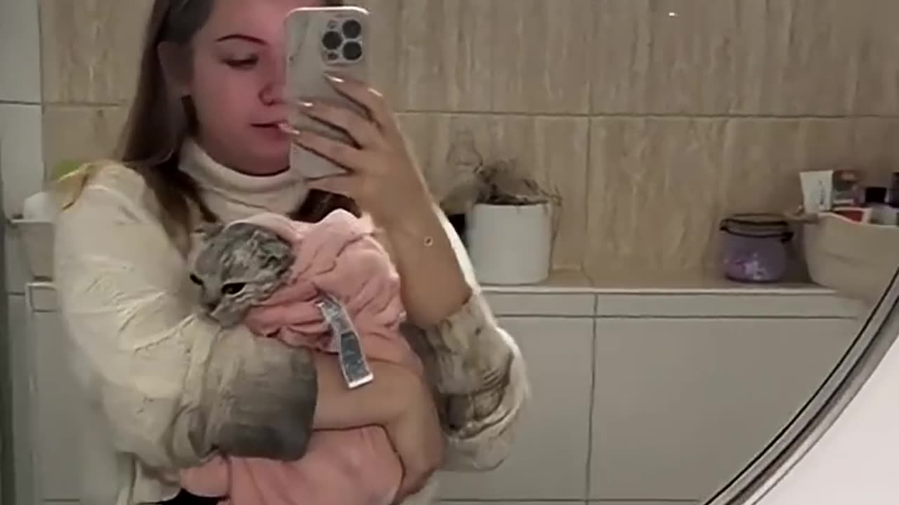 Caught My Cat Acting Suspicious Again