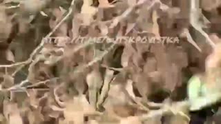 🚨🛡️ Ukraine Russia War | TCC Officers Retreat in Lutsk Leaving Man Behind | RCF