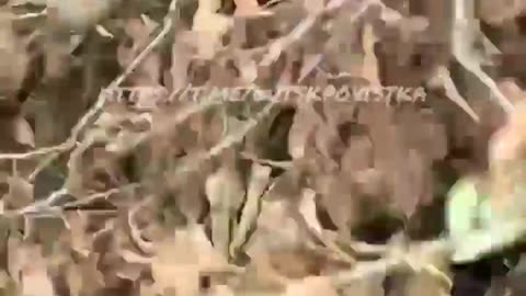 🚨🛡️ Ukraine Russia War | TCC Officers Retreat in Lutsk Leaving Man Behind | RCF