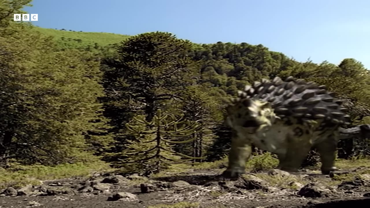 Animals cast left 3.43