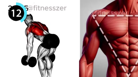 Bent Over Dumbbell Row & Barbell Thruster #fitnesszer #shorts #shots