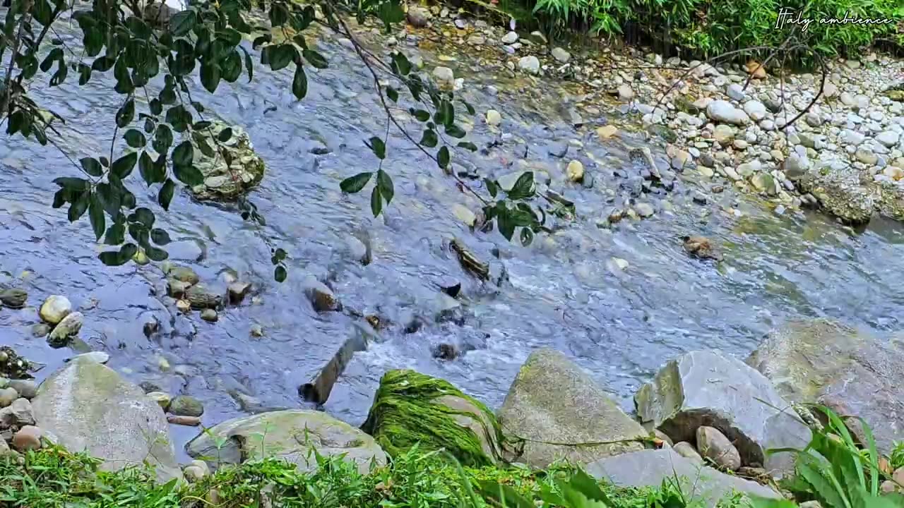 Healing Meditation with Flowing Water Stream and Relaxing music / Peaceful Ambience for Spa, Yoga