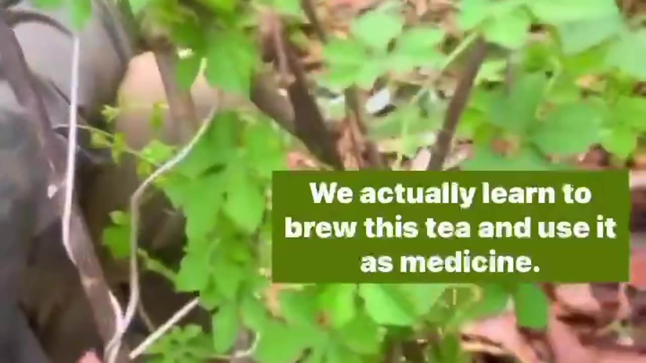 Medicine and a Parable for Healing