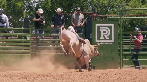 The Ultimate Test of Courage: Cowboy vs. the Bull - A Thrilling Comeback!
