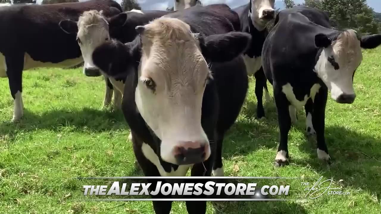ALEX JONES FULL SHOW 9/10/25