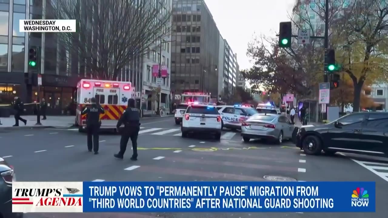 "We will permanently pause migration from all Third World countries"