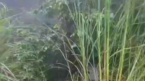 #Gaon Ke Bite Hue Yaden👌👌🌄🌄