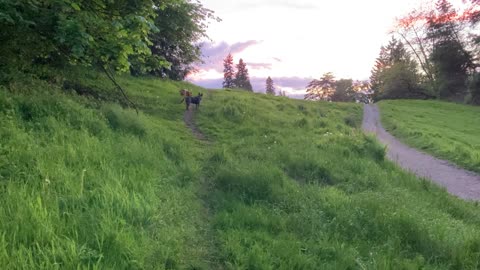 waynes park patrol 29082309482409