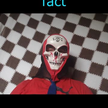 The Saddest Sloth Fact Ever