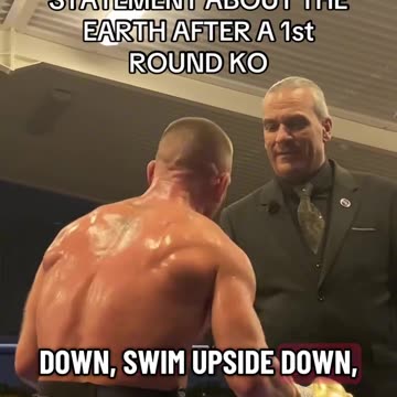 Found my new favorite boxer 🥊