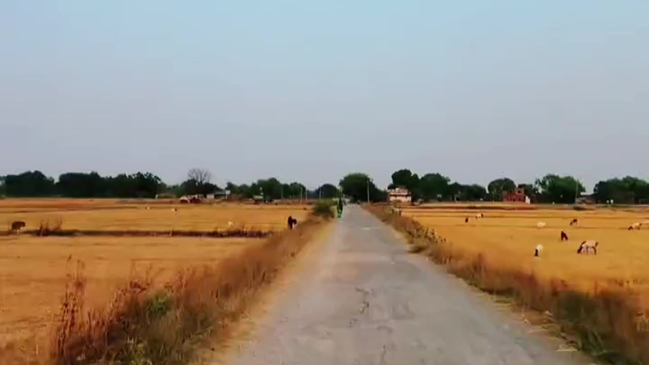 #Asali Sukun To Gaon Mein Hi #Hai 👌👌🫡🫡