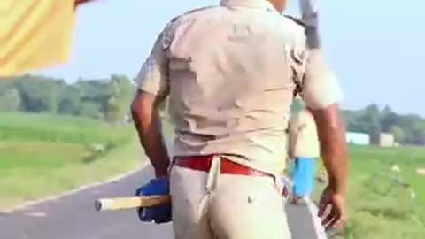New top funny video