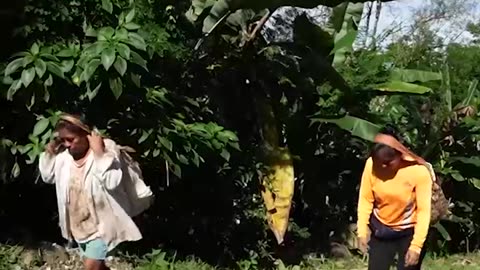 Los bribris: ¿quiénes son y cómo viven?