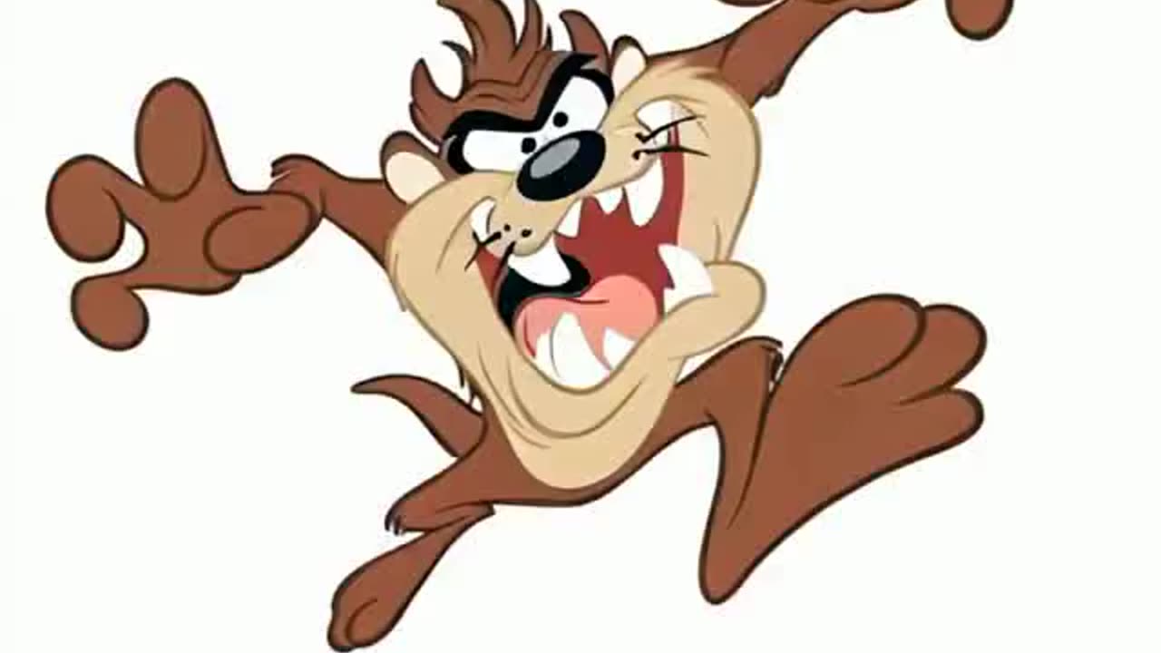 taz mania