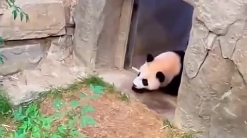 When you are not ready to go inside 😂😍