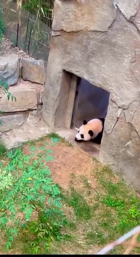 When you are not ready to go inside 😂😍