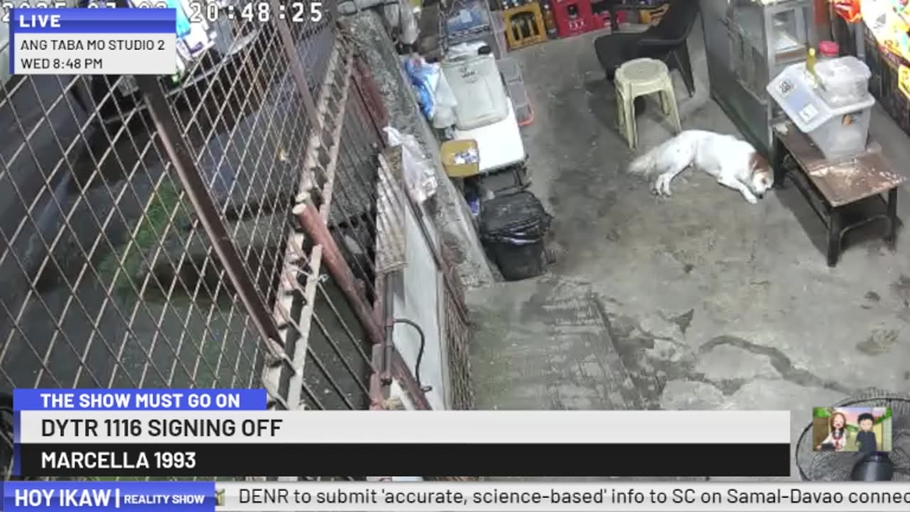 Mitsubishi Xpander 2019 Live