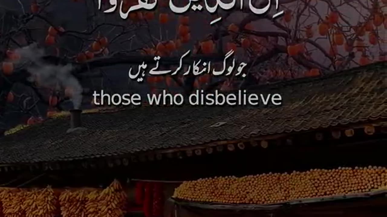 Beshak 💯♥️✨🕊️🙏🙏🙏