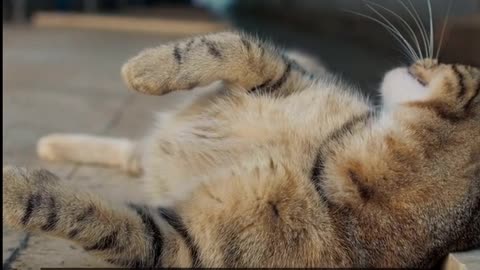 Daily Horoscope | Pisces 🌟