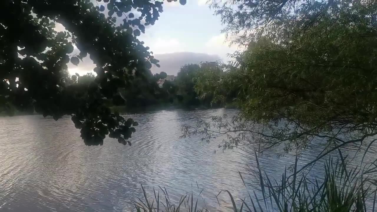 ONE BIG CATCH