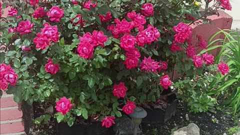 Spring colors