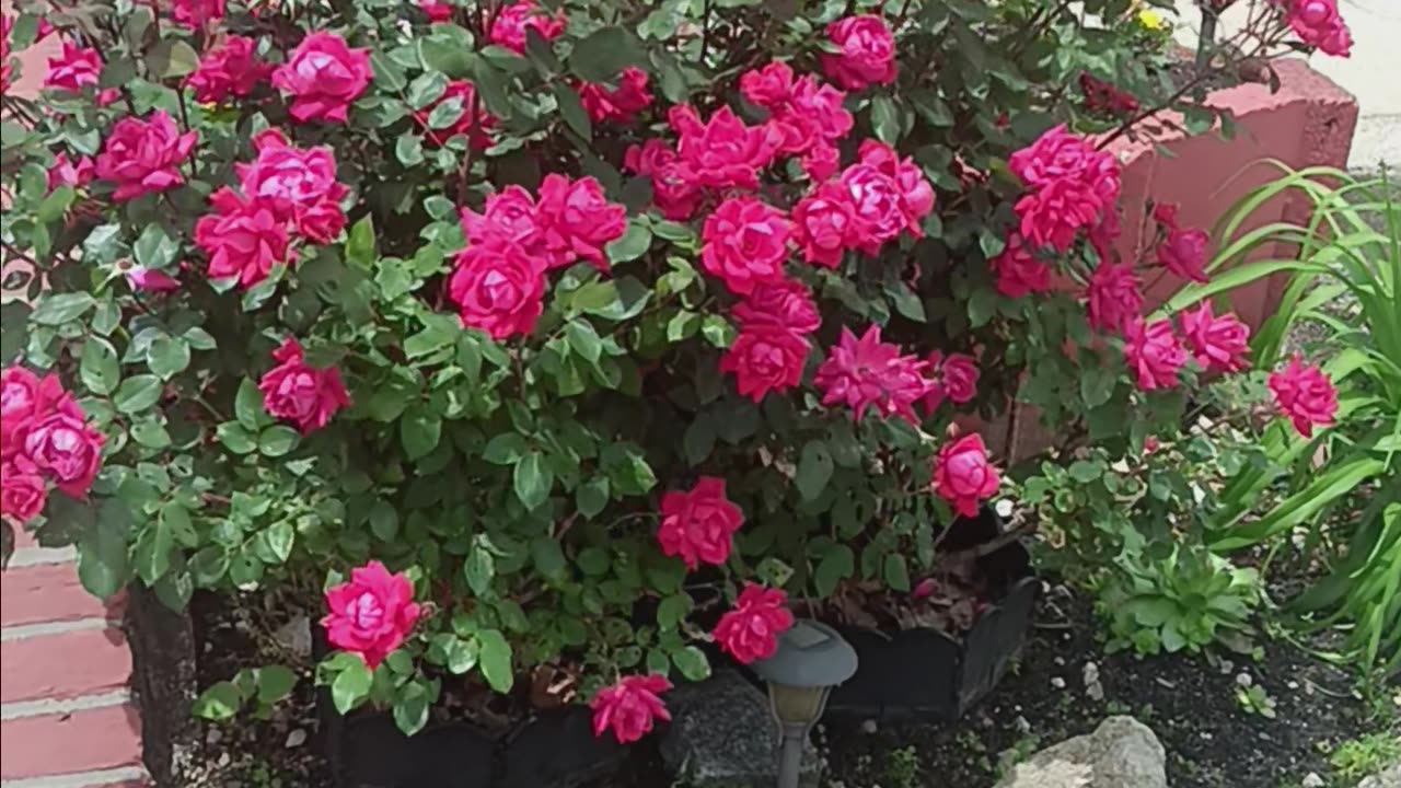 Spring colors