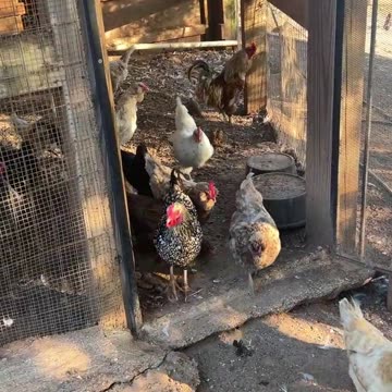 Get to work and find some bugs!!!