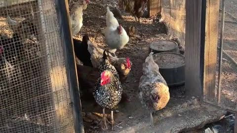 Get to work and find some bugs!!!