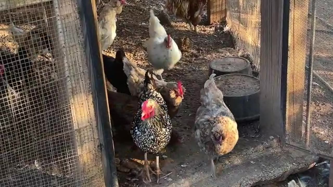 Get to work and find some bugs!!!