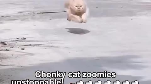 i'm sorry, i forgot to brake