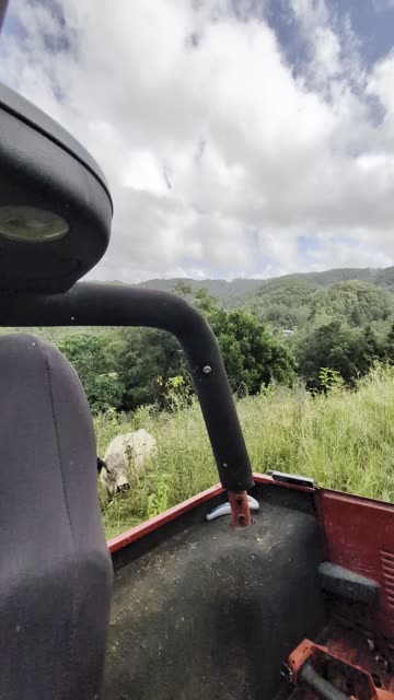 Only One Volume on This Girl