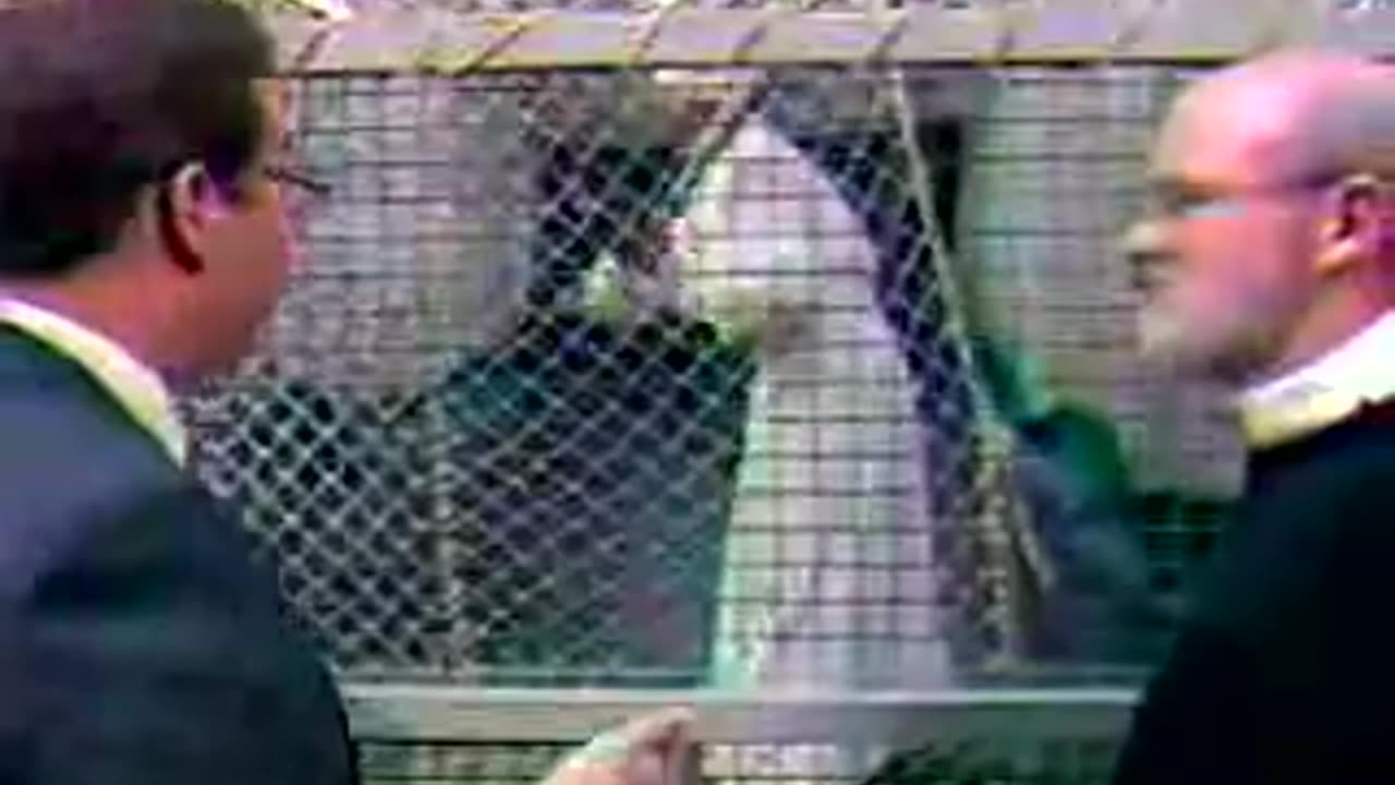 Pope John Paul II - Batting practice