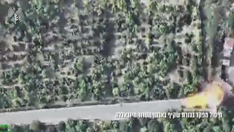The IDF says it killed a Hezbollah commander in a drone strike in Lebanon this