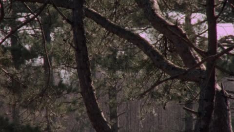 A.Warning.To.The.Curious.1972 BluRay film